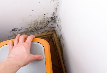 Mold Removal Process: Our experts using advanced techniques for mold removal.