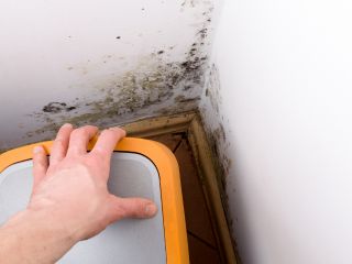 Mold Removal Process: Our experts using advanced techniques for mold removal.